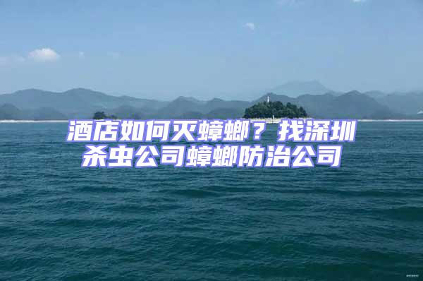 酒店如何滅蟑螂？找深圳殺蟲公司蟑螂防治公司