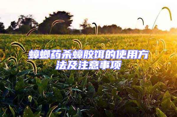 蟑螂藥殺蟑膠餌的使用方法及注意事項