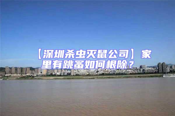 【深圳殺蟲滅鼠公司】家里有跳蚤如何根除？