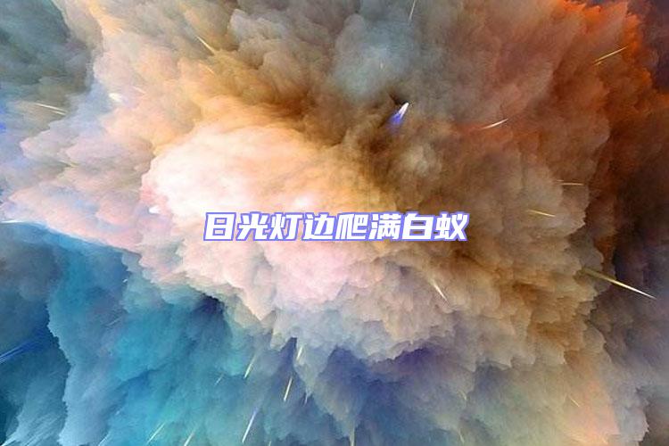 日光燈邊爬滿白蟻