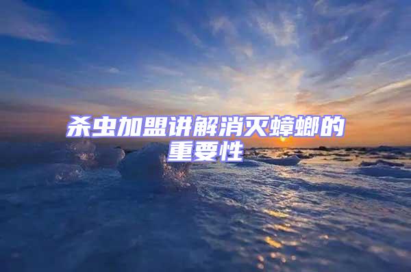 殺蟲(chóng)加盟講解消滅蟑螂的重要性