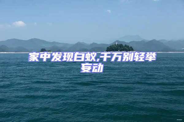 家中發(fā)現(xiàn)白蟻,千萬別輕舉妄動(dòng)