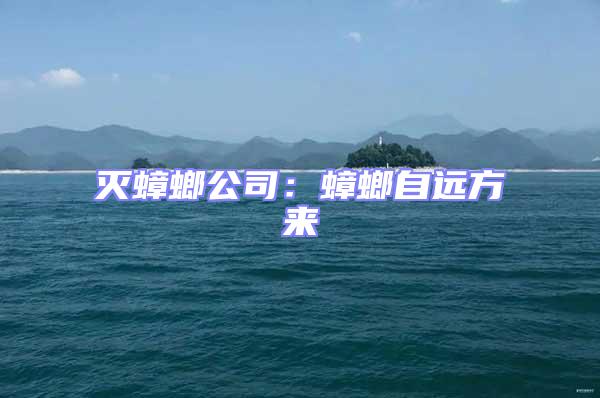 滅蟑螂公司：蟑螂自遠(yuǎn)方來