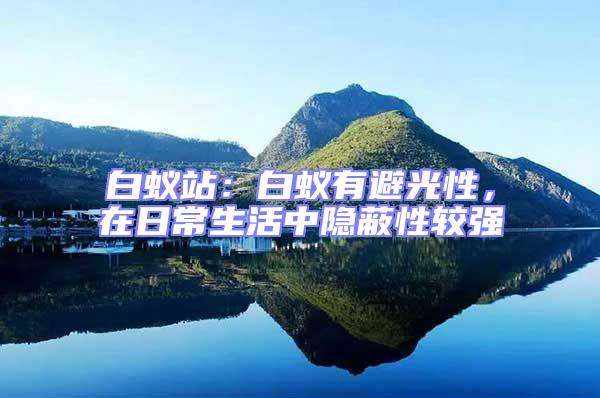 白蟻站：白蟻有避光性，在日常生活中隱蔽性較強