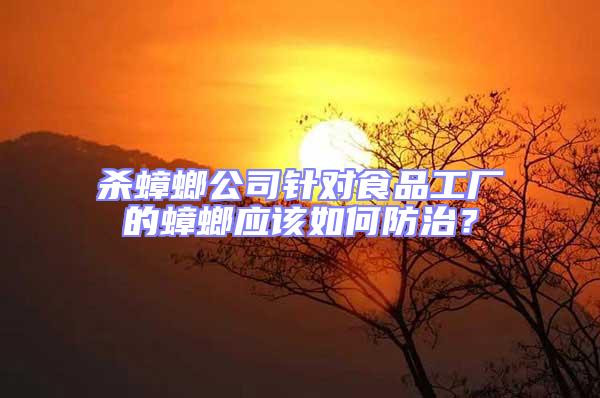 殺蟑螂公司針對食品工廠的蟑螂應(yīng)該如何防治?