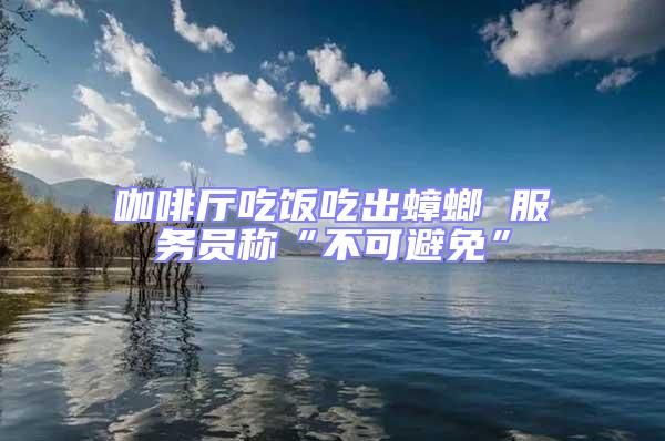 咖啡廳吃飯吃出蟑螂 服務(wù)員稱(chēng)“不可避免”