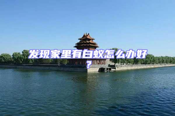 發現家里有白蟻怎么辦好？