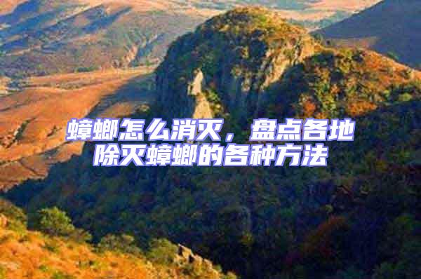 蟑螂怎么消滅，盤點各地除滅蟑螂的各種方法