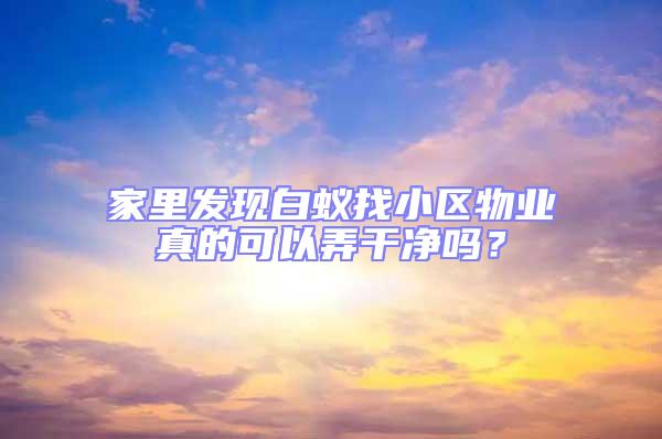 家里發現白蟻找小區物業真的可以弄干凈嗎?