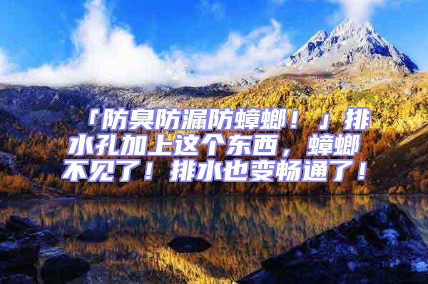 「防臭防漏防蟑螂！」排水孔加上這個(gè)東西，蟑螂不見(jiàn)了！排水也變暢通了！