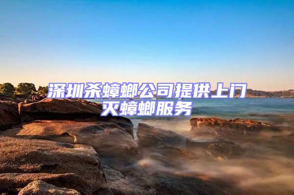 深圳殺蟑螂公司提供上門滅蟑螂服務