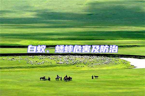 白蟻、蟋蟀危害及防治