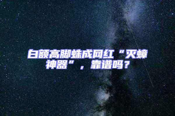 白額高腳蛛成網(wǎng)紅“滅蟑神器”,靠譜嗎?