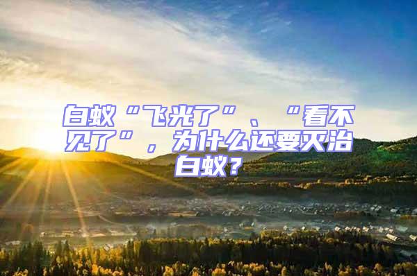 白蟻“飛光了”、“看不見(jiàn)了”,為什么還要滅治白蟻?