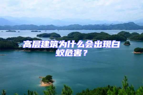 高層建筑為什么會出現白蟻危害？