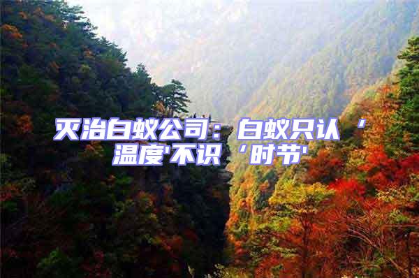 滅治白蟻公司：白蟻只認‘溫度'不識‘時節(jié)'