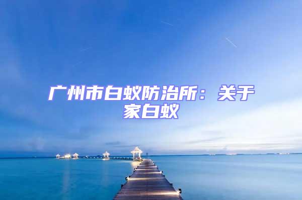 廣州市白蟻防治所:關于家白蟻