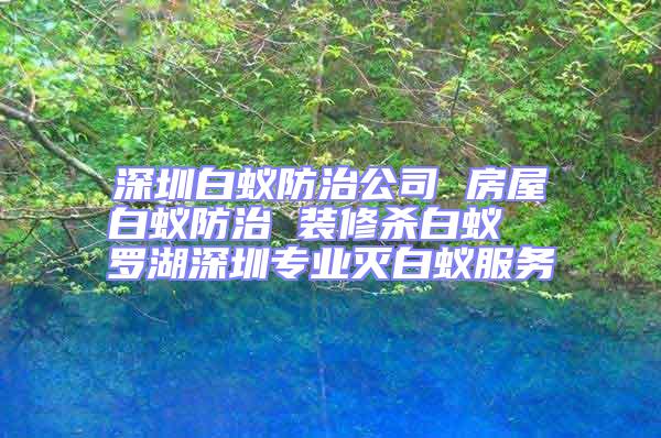 深圳白蟻防治公司 房屋白蟻防治 裝修殺白蟻  羅湖深圳專業(yè)滅白蟻服務(wù)