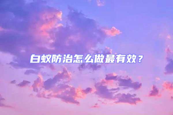 白蟻防治怎么做最有效?