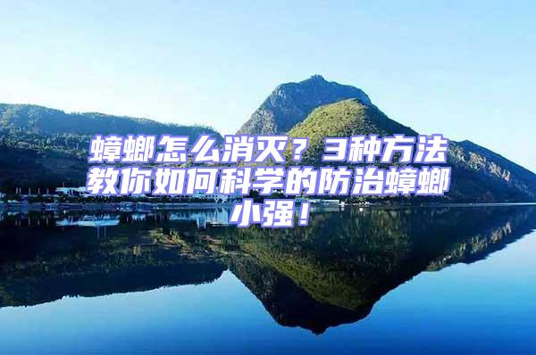 蟑螂怎么消滅？3種方法教你如何科學(xué)的防治蟑螂小強！