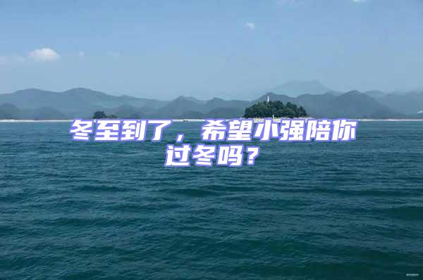 冬至到了，希望小強陪你過冬嗎？