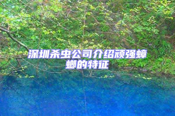 深圳殺蟲公司介紹頑強(qiáng)蟑螂的特征