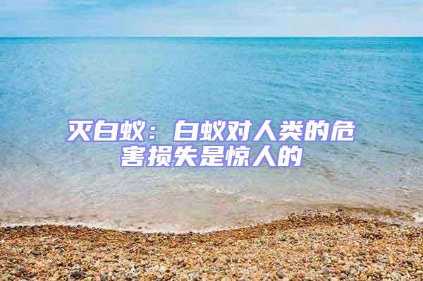 滅白蟻：白蟻對(duì)人類的危害損失是驚人的