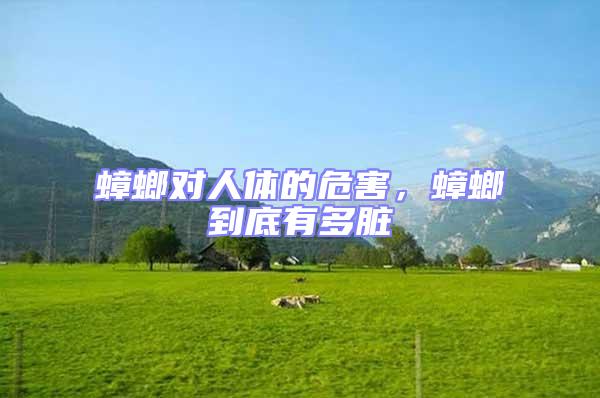 蟑螂對人體的危害,蟑螂到底有多臟