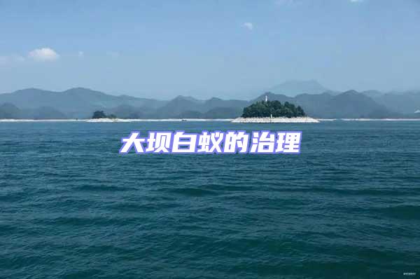 大壩白蟻的治理