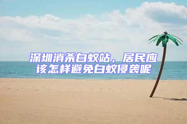 深圳消殺白蟻站，居民應該怎樣避免白蟻侵襲呢