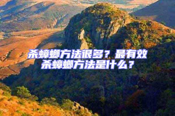 殺蟑螂方法很多？最有效殺蟑螂方法是什么？