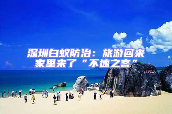 深圳白蟻防治:旅游回來家里來了“不速之客”