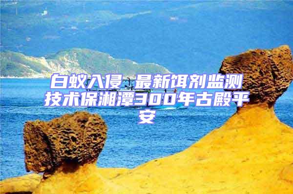 白蟻入侵 最新餌劑監(jiān)測技術(shù)保湘潭300年古殿平安