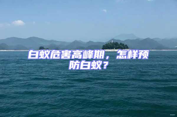 白蟻危害高峰期,怎樣預(yù)防白蟻?
