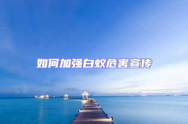 如何加強白蟻危害宣傳