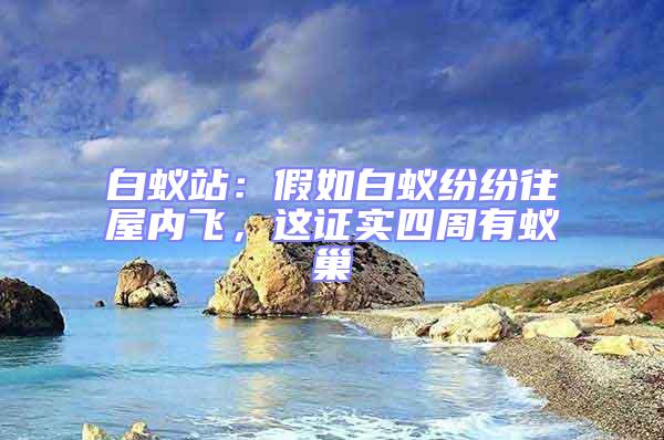 白蟻站：假如白蟻紛紛往屋內(nèi)飛，這證實四周有蟻巢