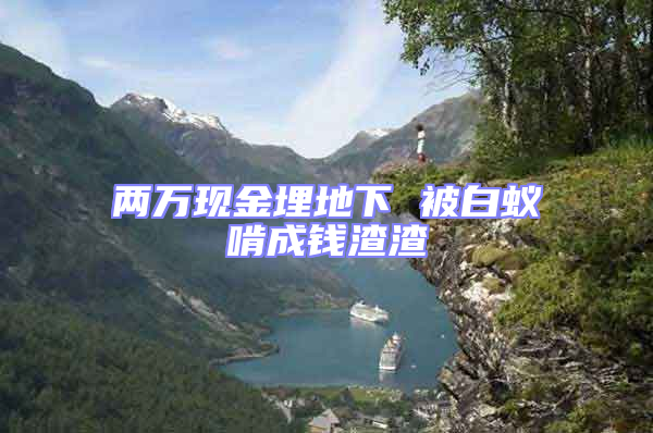 兩萬(wàn)現(xiàn)金埋地下 被白蟻啃成錢(qián)渣渣