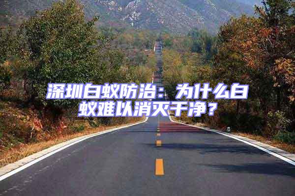 深圳白蟻防治:為什么白蟻難以消滅干凈?