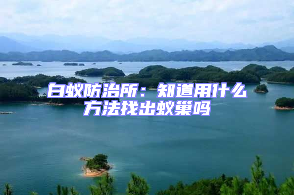 白蟻防治所:知道用什么方法找出蟻巢嗎