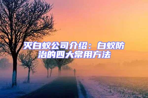 滅白蟻公司介紹:白蟻防治的四大常用方法