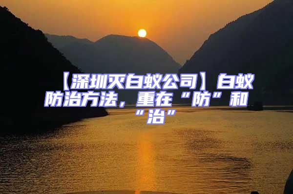 【深圳滅白蟻公司】白蟻防治方法,重在“防”和“治”