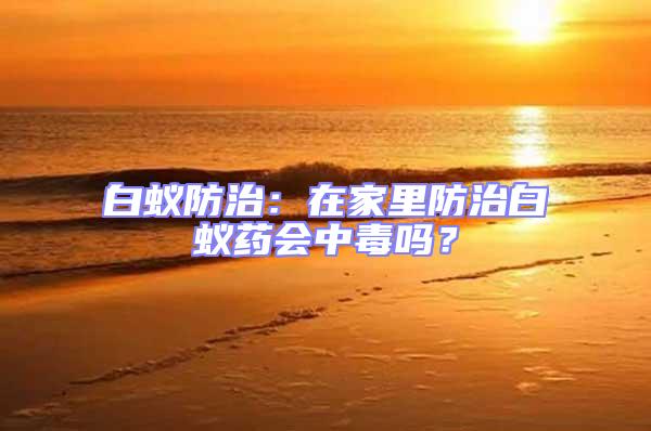 白蟻防治:在家里防治白蟻藥會中毒嗎?