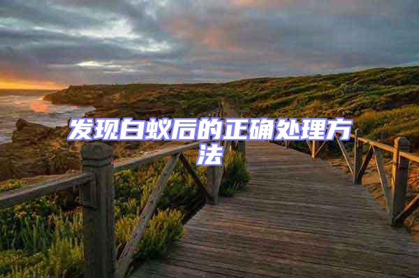 發(fā)現(xiàn)白蟻后的正確處理方法