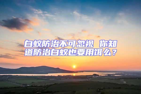 白蟻防治不可忽視 你知道防治白蟻也要用餌么？