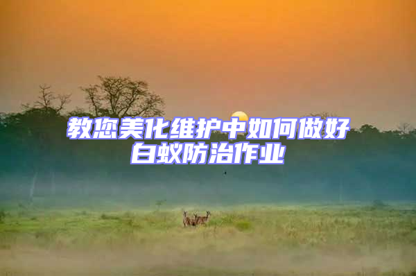 教您美化維護中如何做好白蟻防治作業(yè)