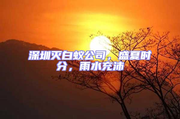深圳滅白蟻公司,盛夏時分,雨水充沛