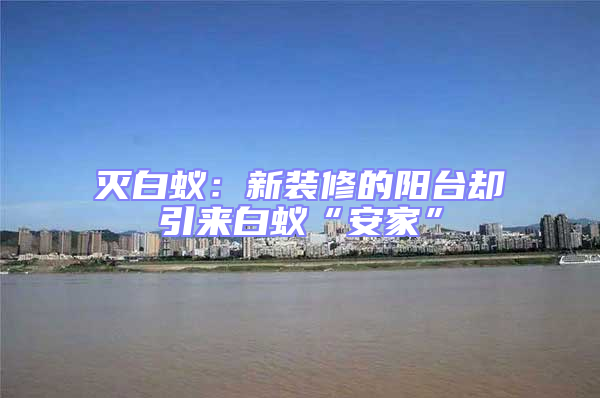 滅白蟻:新裝修的陽臺卻引來白蟻“安家”