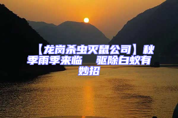 【龍崗殺蟲滅鼠公司】秋季雨季來臨 驅(qū)除白蟻有妙招