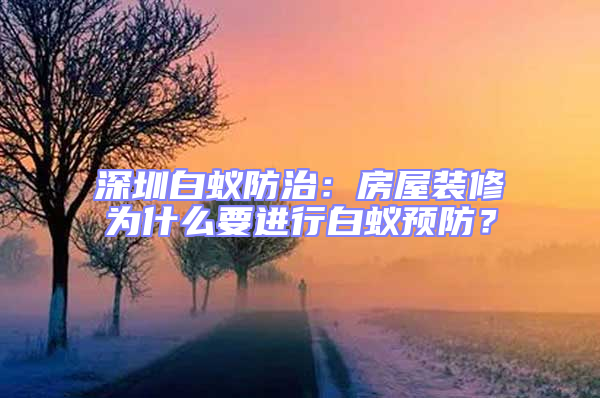 深圳白蟻防治：房屋裝修為什么要進行白蟻預防？