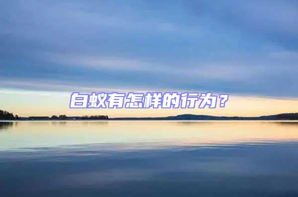 白蟻有怎樣的行為？